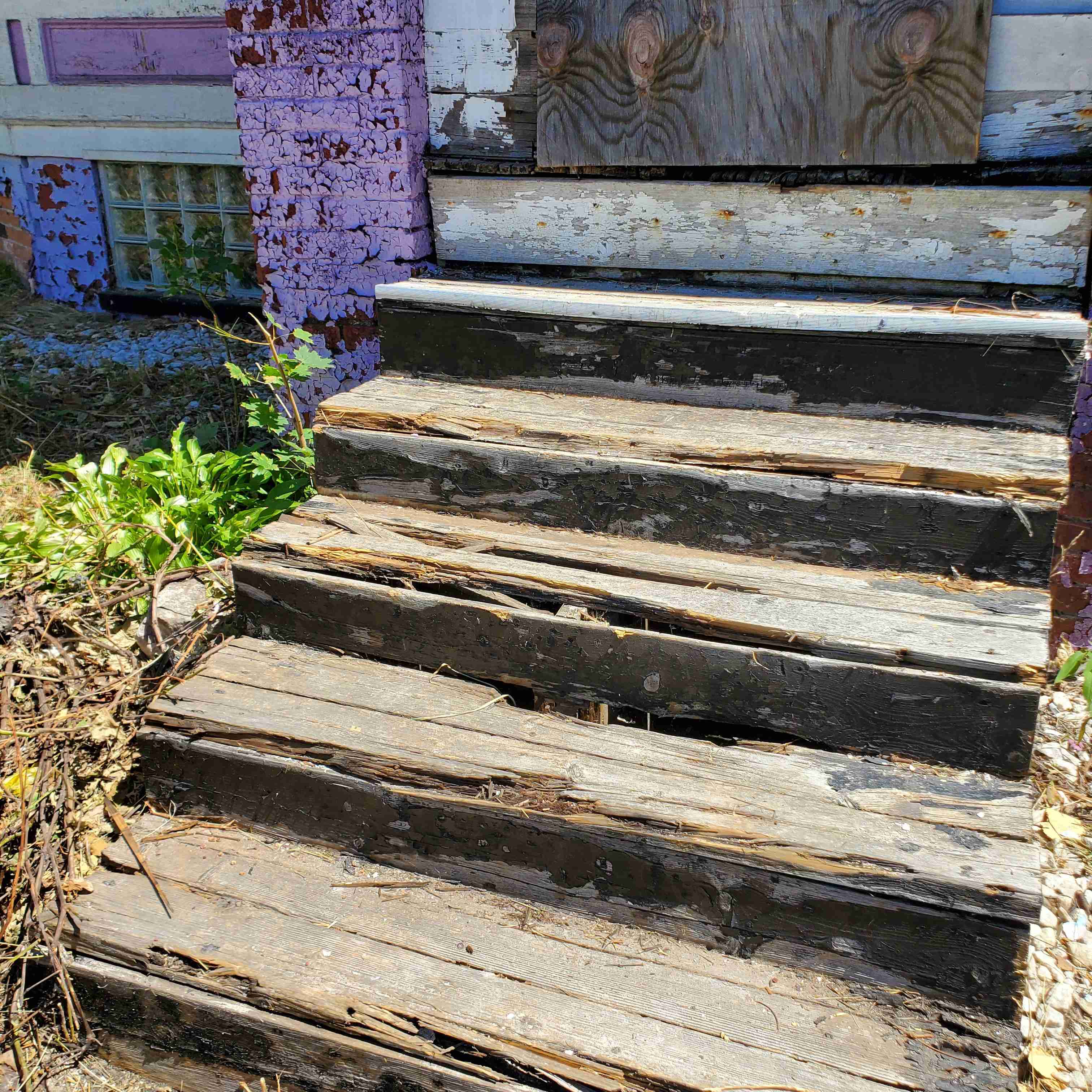 20200812_125241 (2).jpg